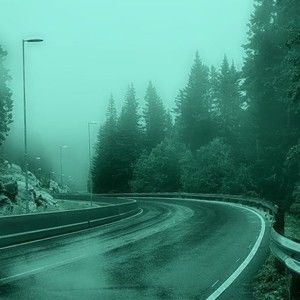 Meet your Posher, Kylee